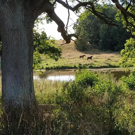 Healthy Spot In Nature Near Copenhagen * Holte