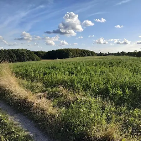Healthy Spot In Nature Near Copenhagen Guest house *